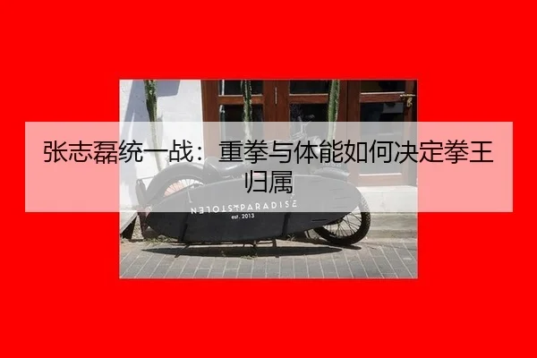 zhang-zhi-lei-tong-yi-zhan-zhong-quan-yu-ti-neng-ru-he-jue-ding-quan-wang-gui-shu-3-834.jpg