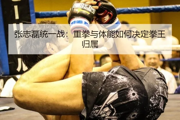 张志磊统一战：重拳与体能如何决定拳王归属