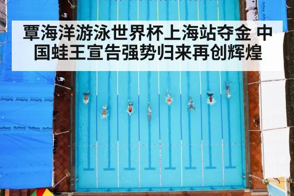 覃海洋游泳世界杯上海站夺金 中国蛙王宣告强势归来再创辉煌