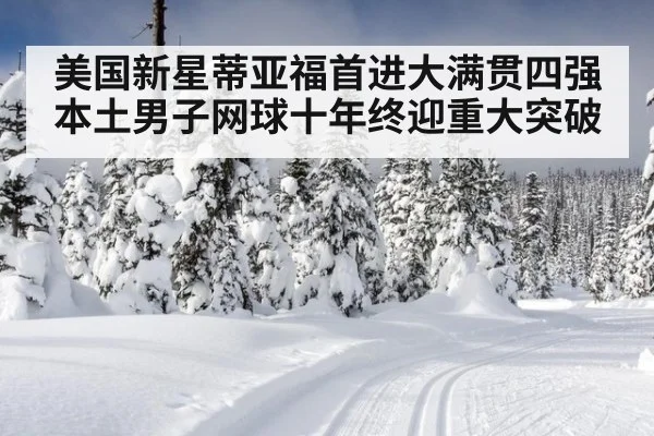 美国新星蒂亚福首进大满贯四强本土男子网球十年终迎重大突破